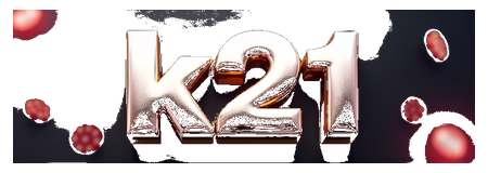k21 logo